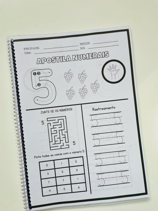 Combo de Apostilas ( Alfabeto, Numerais e Coordenação Motora Fina) - Imagem 11